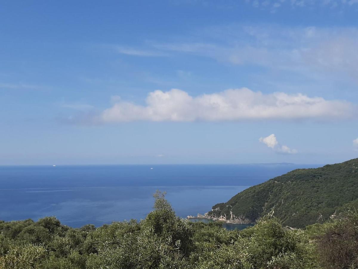 Zoe'S Studios Parga Buitenkant foto