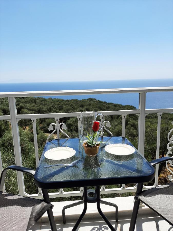 Zoe'S Studios Parga Buitenkant foto